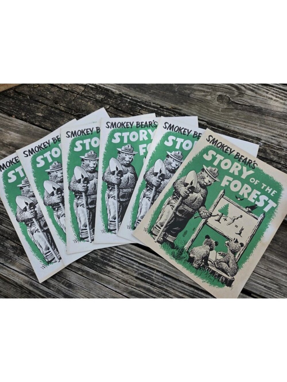 Set 6 Vintage Smokey Bear’s Story of the Forest Coloring Books 1979 US Dept Ag